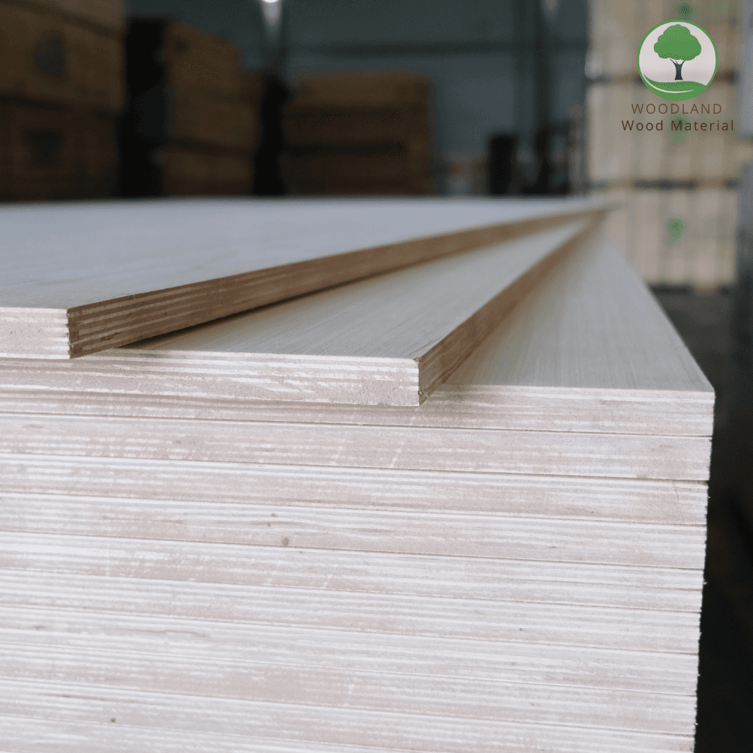 Plywood Poplar EV/EV Nhập Khẩu 6