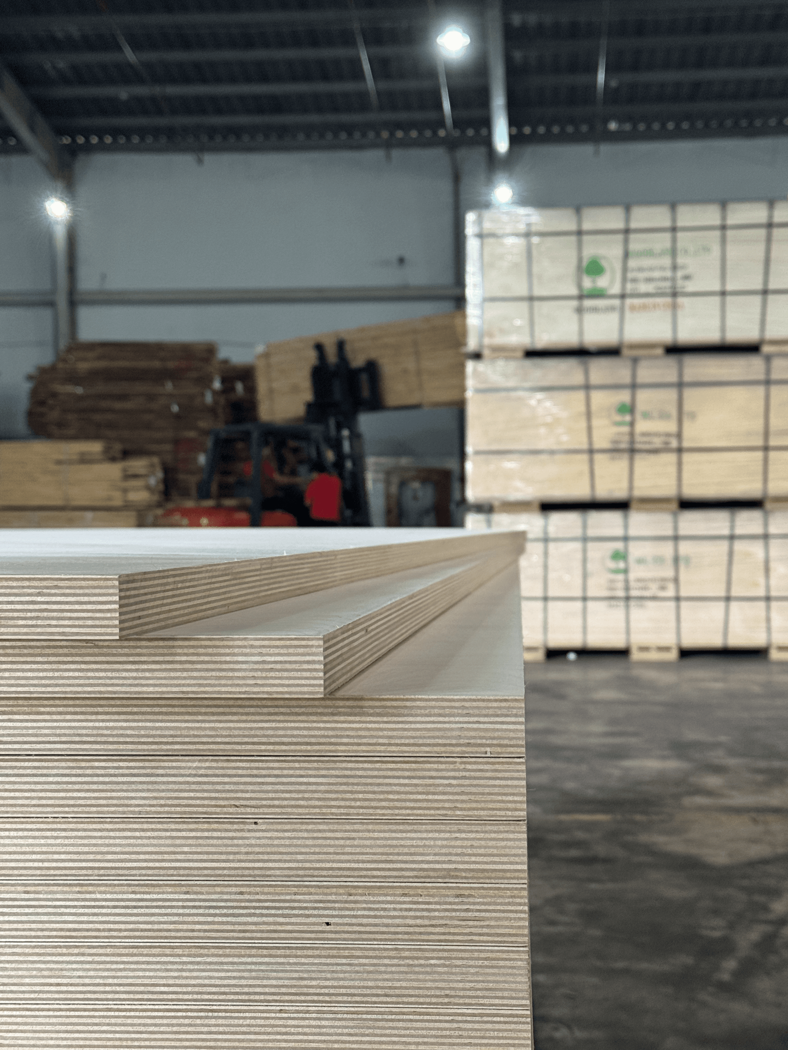 Plywood Full Birch Vượt Khổ 4
