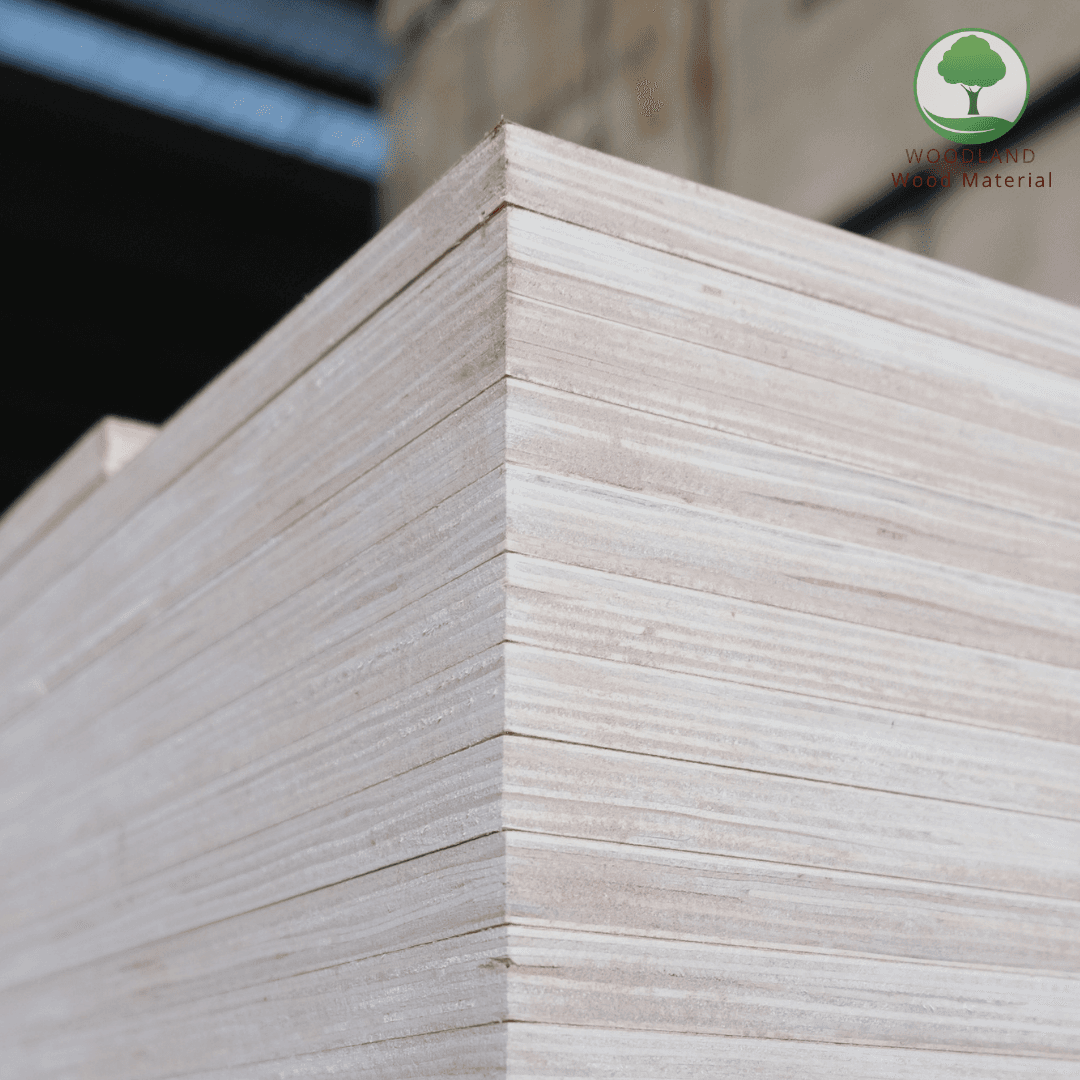 Plywood Poplar EV/EV Nhập Khẩu 9