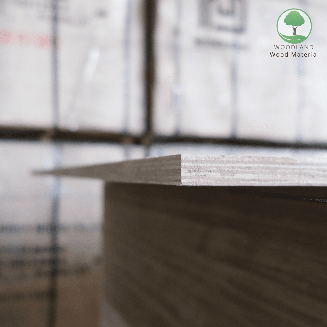 Plywood Poplar EV/EV Nhập Khẩu 10