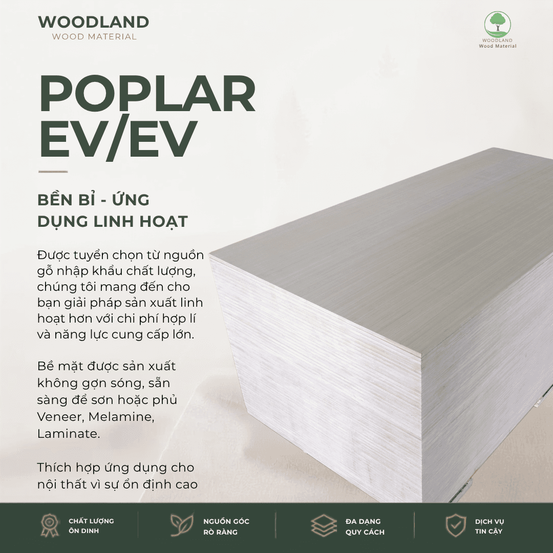 Plywood Poplar EV/EV Nhập Khẩu 3