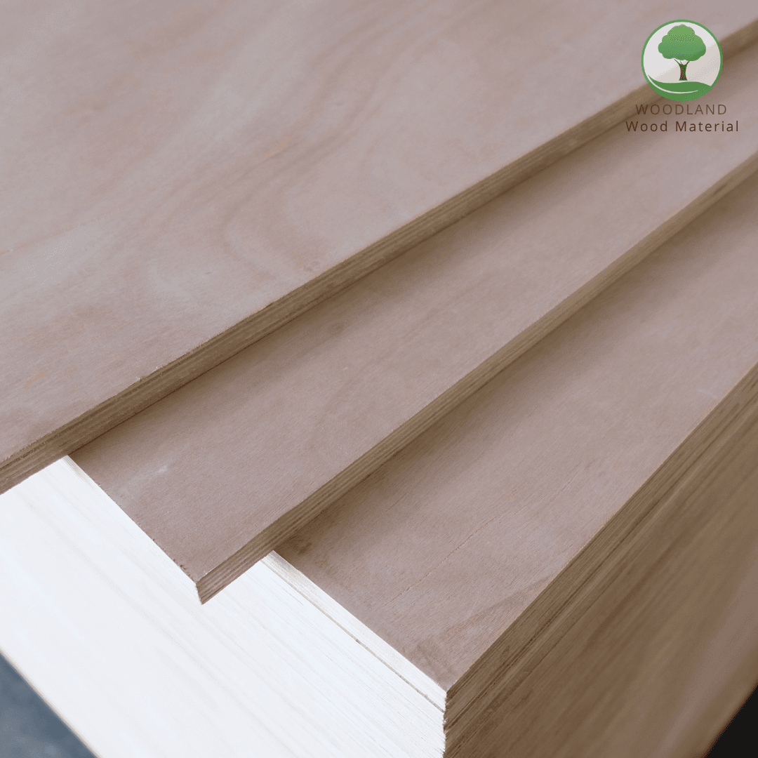 Plywood Poplar Okoume Nhập Khẩu 5