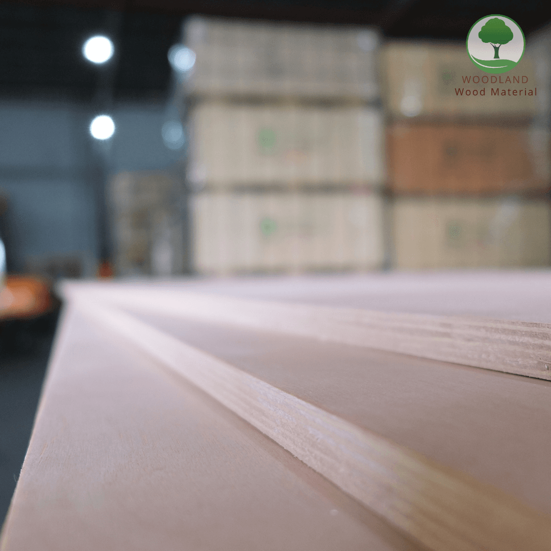 Plywood Poplar Okoume Nhập Khẩu 6