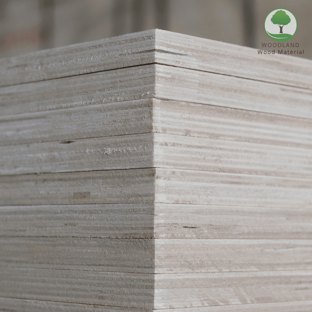 Plywood Poplar Okoume Nhập Khẩu 8