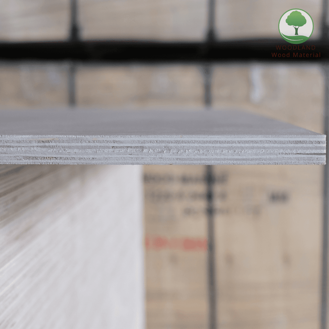 Plywood Poplar Okoume Nhập Khẩu 9