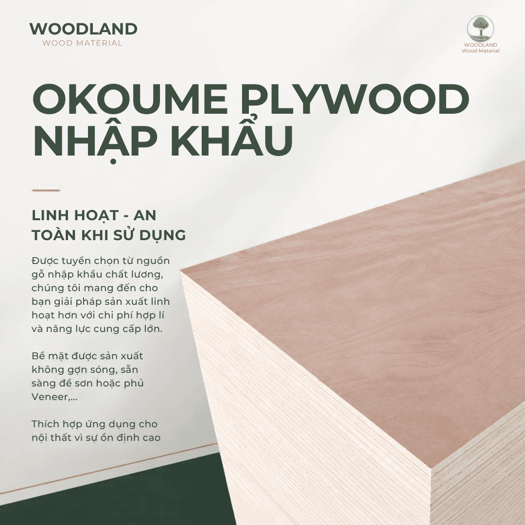 Plywood Poplar Okoume Nhập Khẩu 3