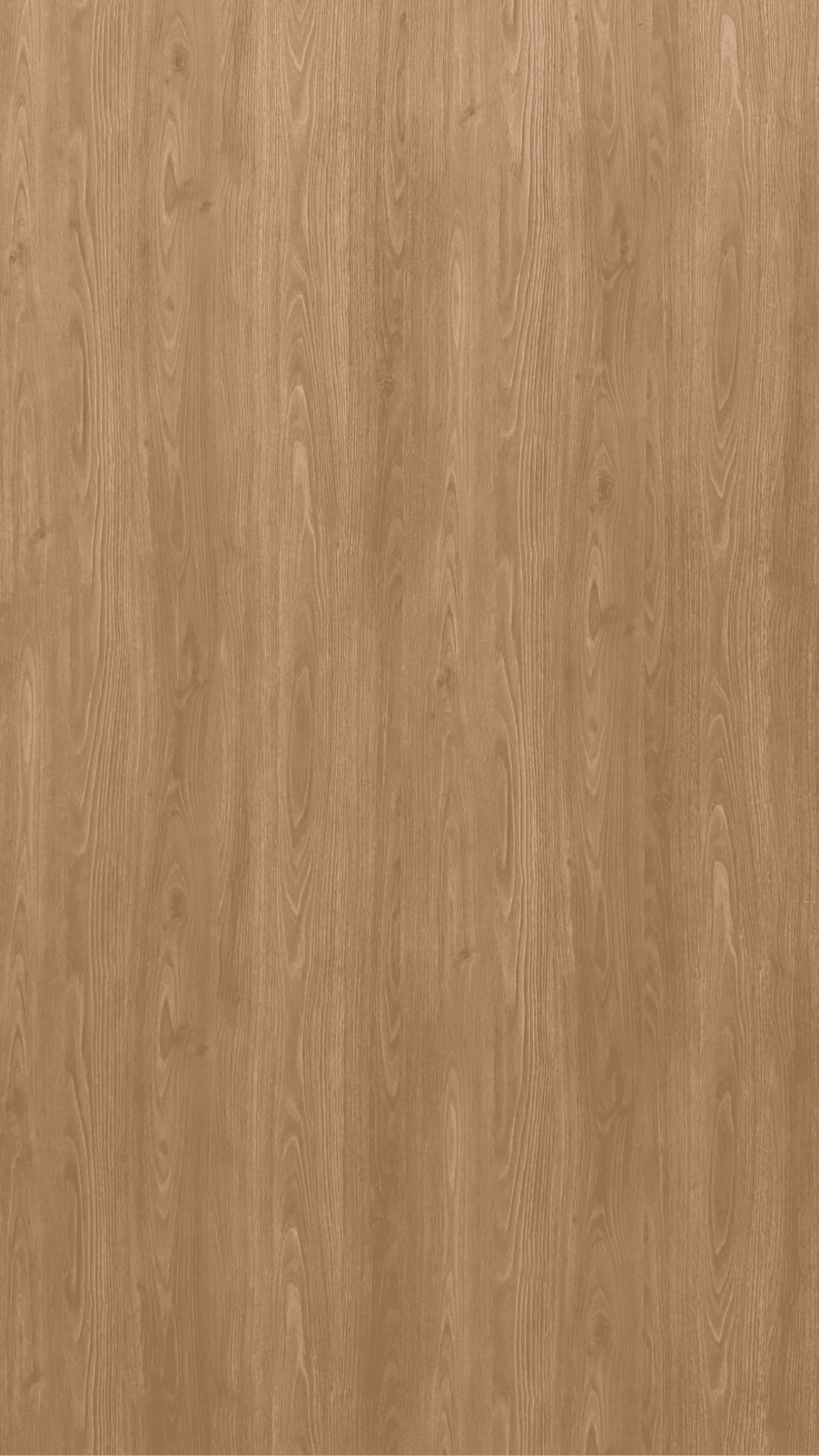 Plywood Melamine - WL605EV - Natural Oak