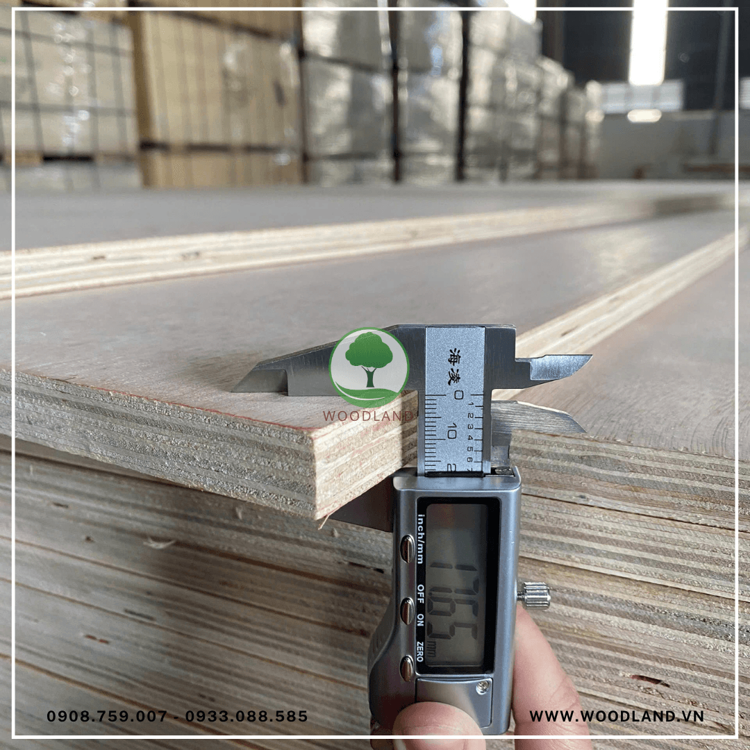 Plywood Mặt Okoume 5