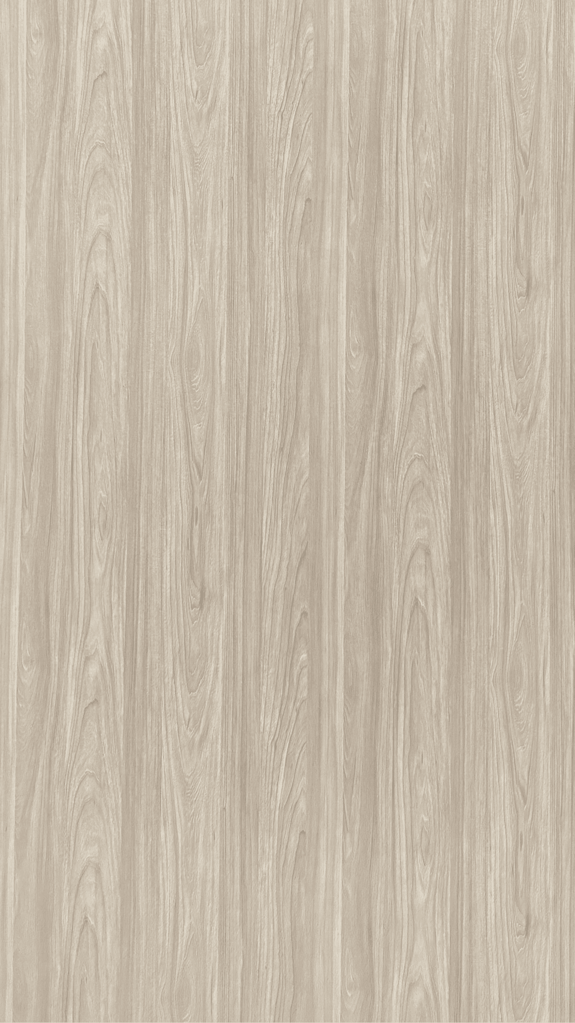 Plywood Melamine - WL601EW - Oak Natural