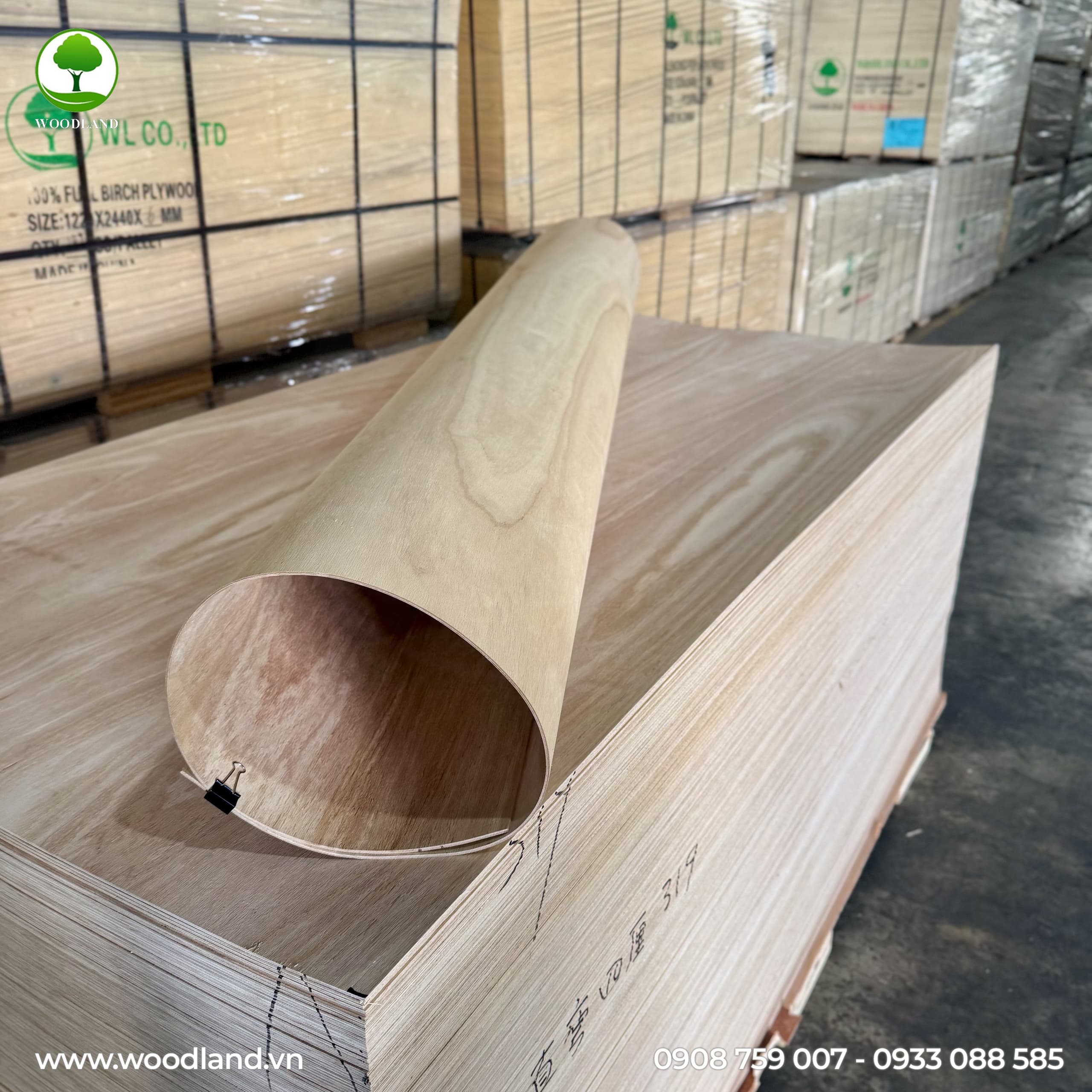 Yêu Cầu Chất Lượng Từ Thị Trường Quốc Tế