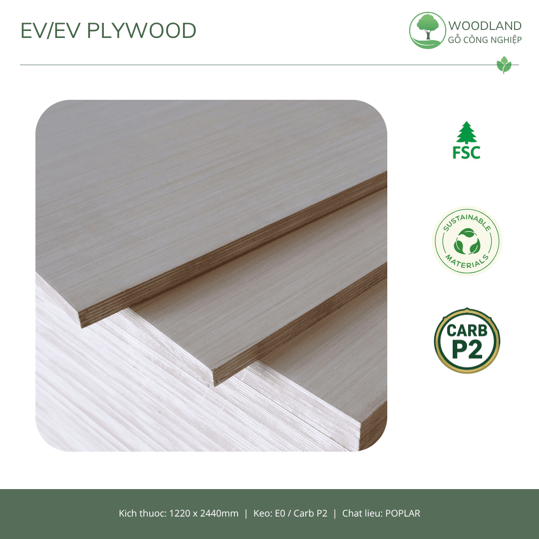 Plywood Poplar EV/EV Nhập Khẩu