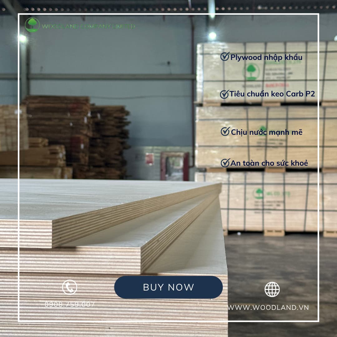 Imported Plywood