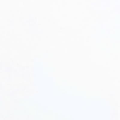 Plywood Melamine - WL088T - White