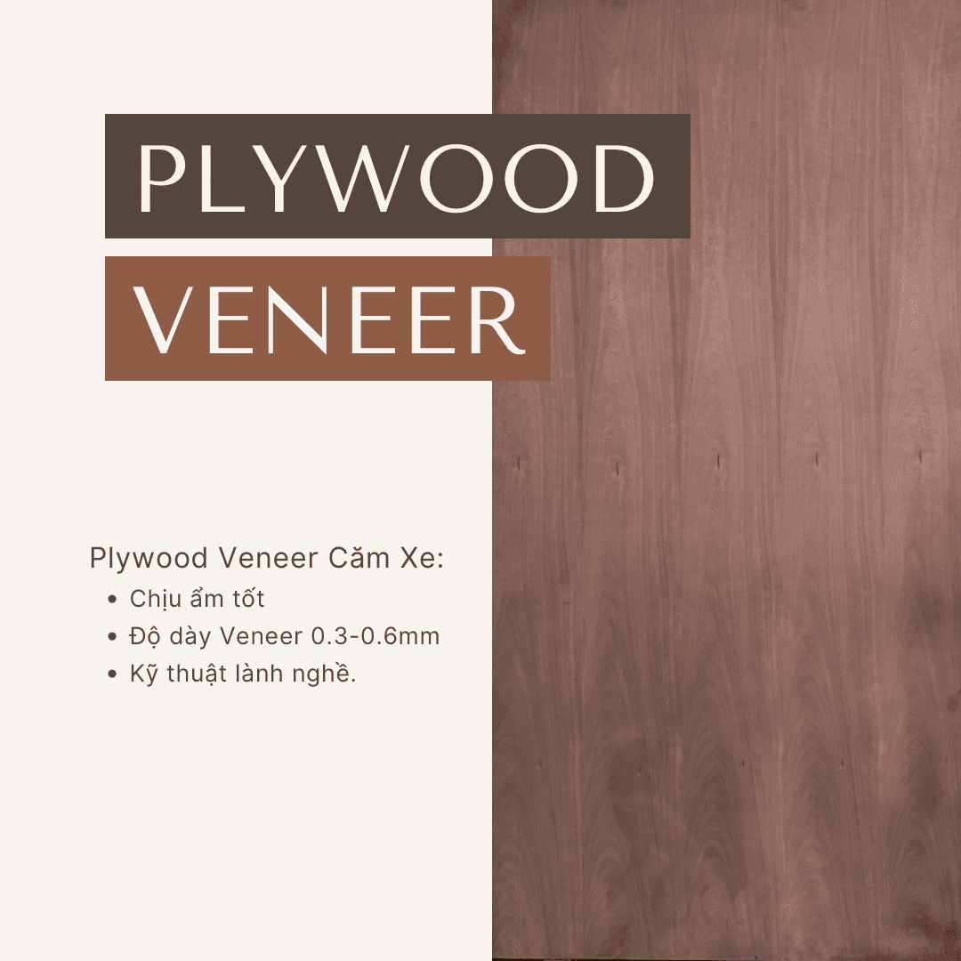 Plywood Covered with Veneer for Vehicle Chassis