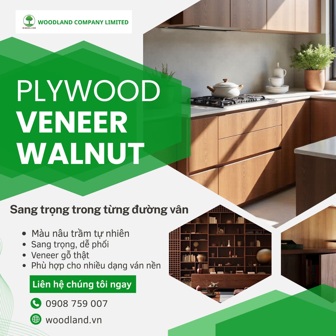 Plywood Covered with Walnut Veneer